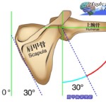 肩甲骨の柔軟性と施術の関連性を考える